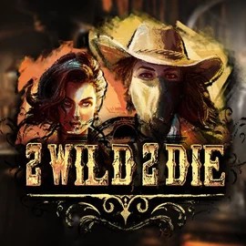 Play the 2 Wild 2 Die slot by Hacksaw Gaming on Nordspin Casino